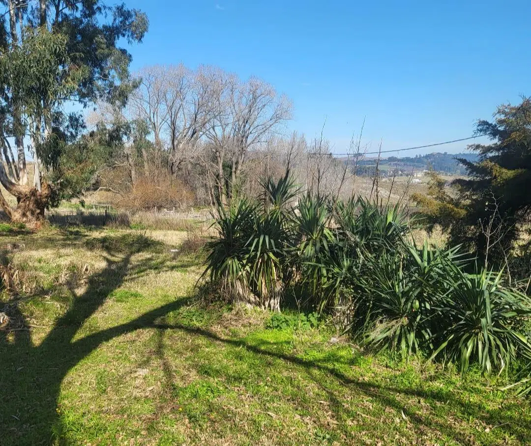Terreno en venta - 1.600Mts2 - Tandil 5