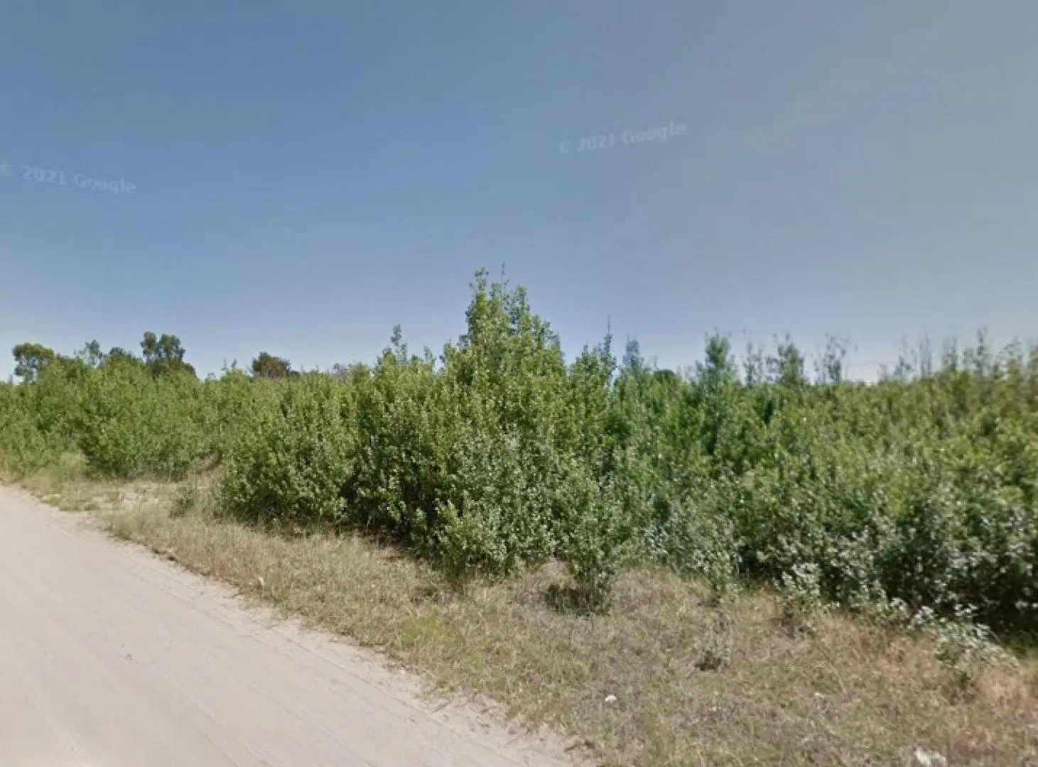 Terreno en venta - 7.800Mts2 - Ostende 4