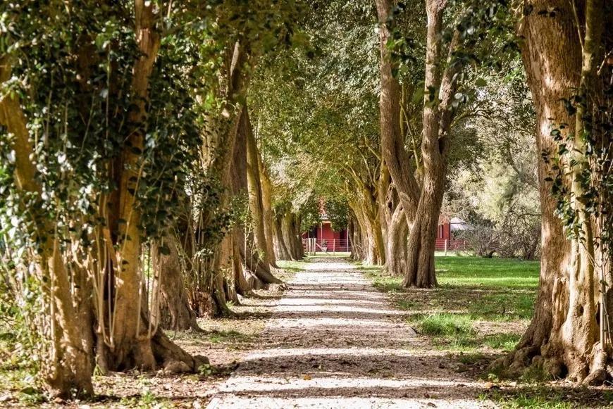 Terreno en venta - 1.800Mts2 - Club de Campo El Mirador