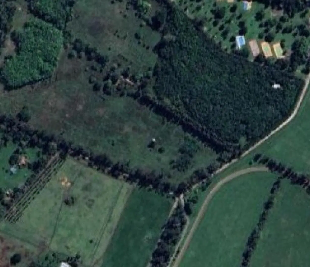 Terreno en venta - 40.000Mts2 - Arturo Seguí 4