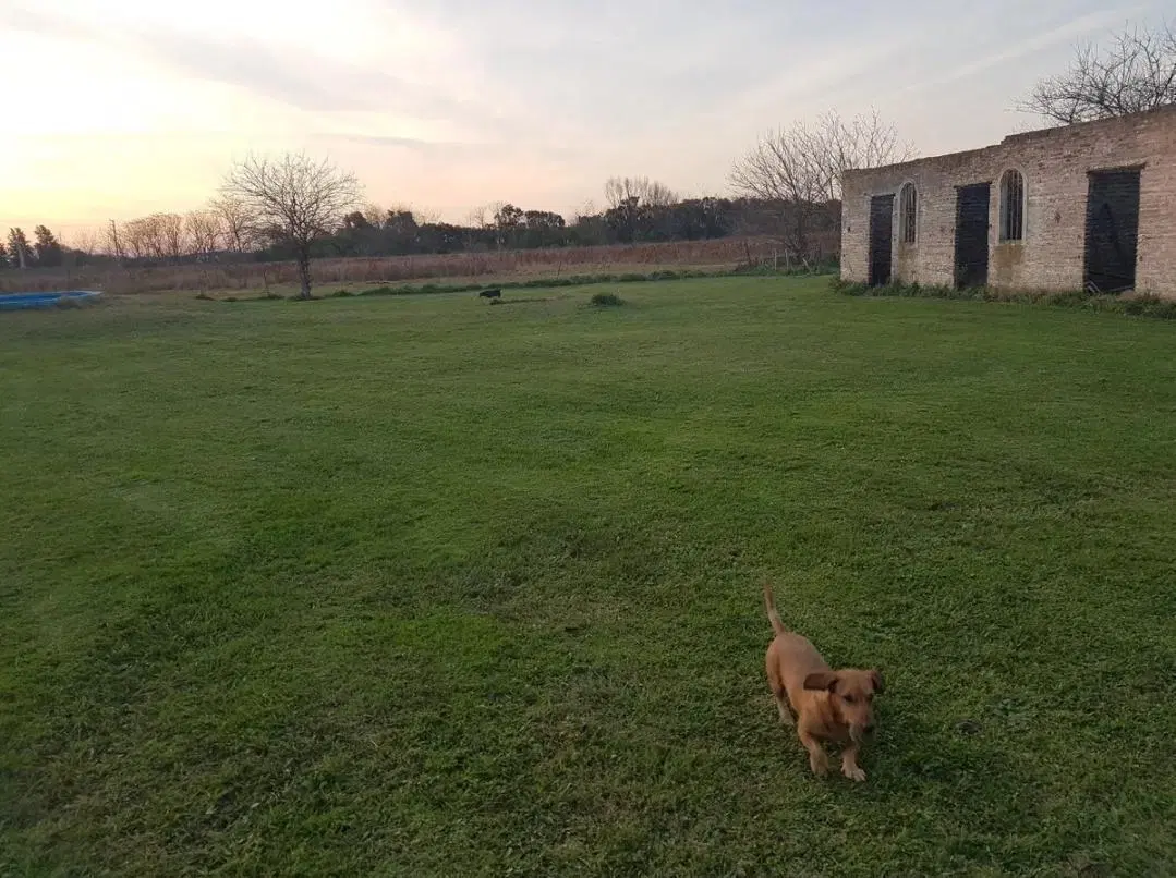 Campo en venta - 4 Dormitorios 3 Baños - Cochera - 52.421Mts2 - Mercedes 4