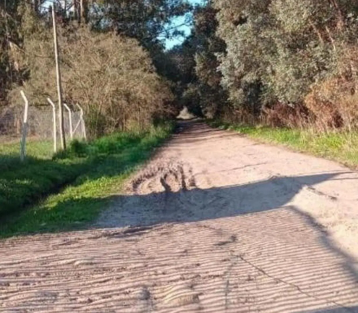 Terreno en venta - 250Mts2 - Abasto 5