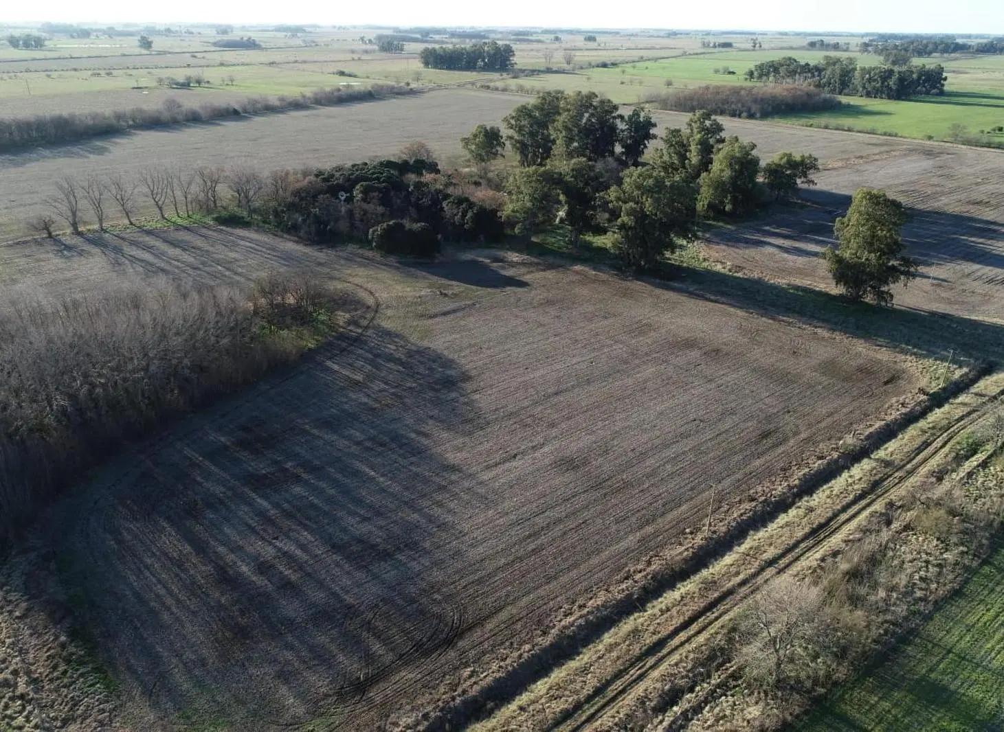 Campo en venta - 26 Hectáreas - Lobos 3