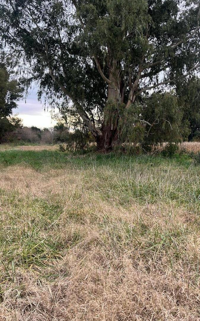 Campo en venta - 26 Hectáreas - Lobos