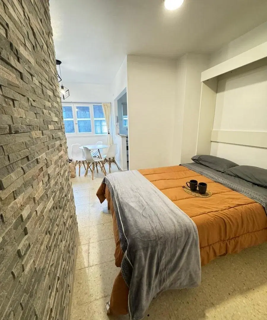Departamento en alquiler temporario - Monoambiente - Mar del Plata 1