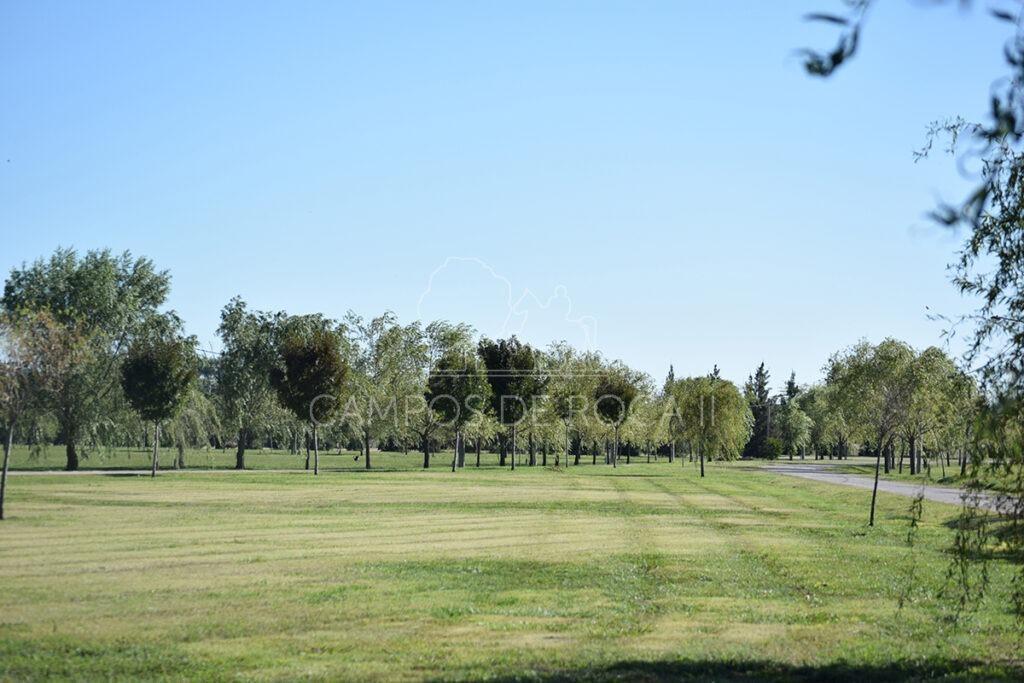 Terreno en venta - 2577mts2 - Campos de Roca II, Coronel Brandsen