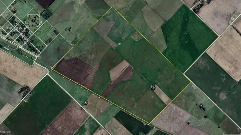 Campo en alquiler - 248 Hectáreas - Benito Juarez 4