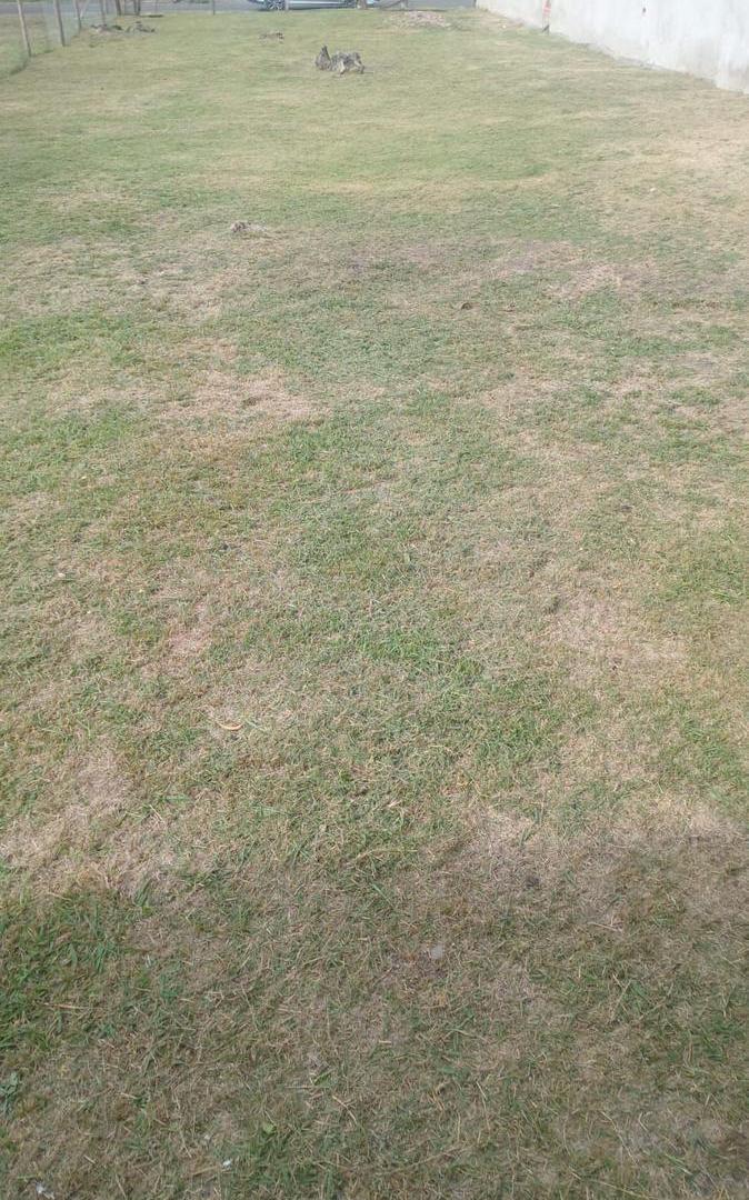 Terreno en venta - 320mts2 - Tigre
