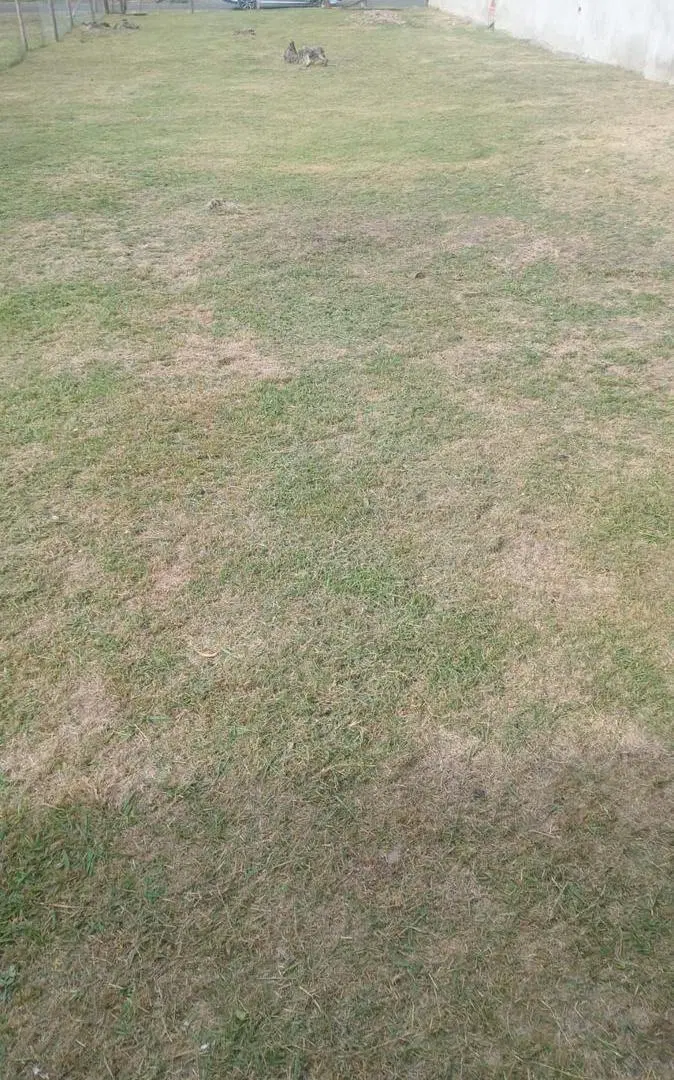 Terreno en venta - 320mts2 - Tigre 2