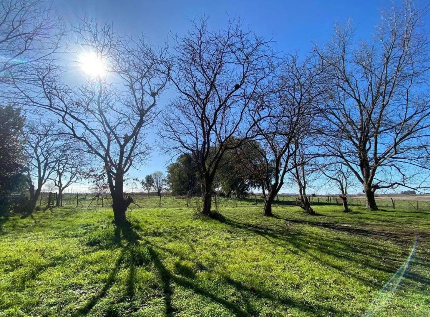 Terreno en venta - 20.000Mts2 - Mechita, Alberti 4