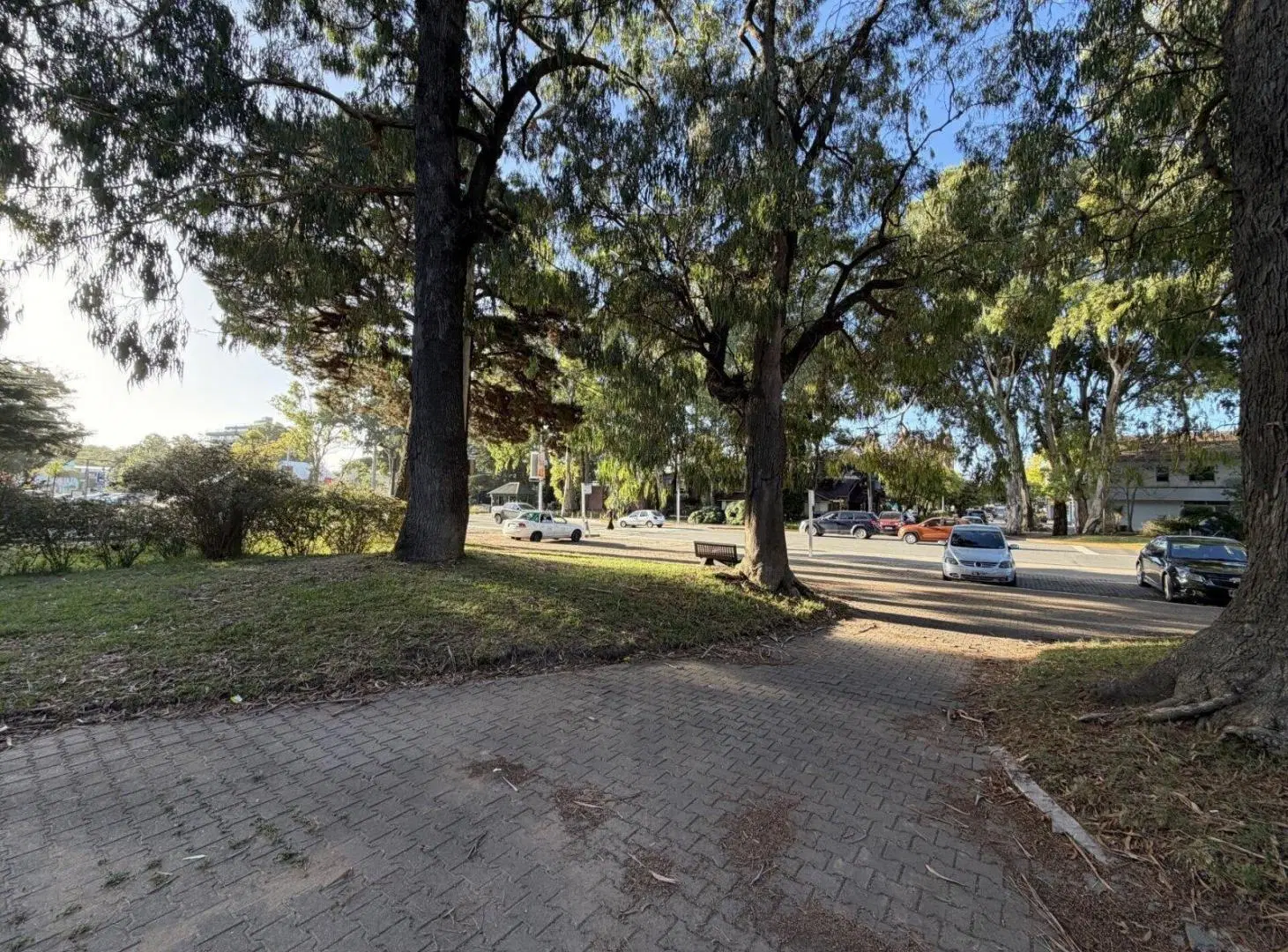 Local Comercial en alquiler - 6 Ambientes - Pinamar 5