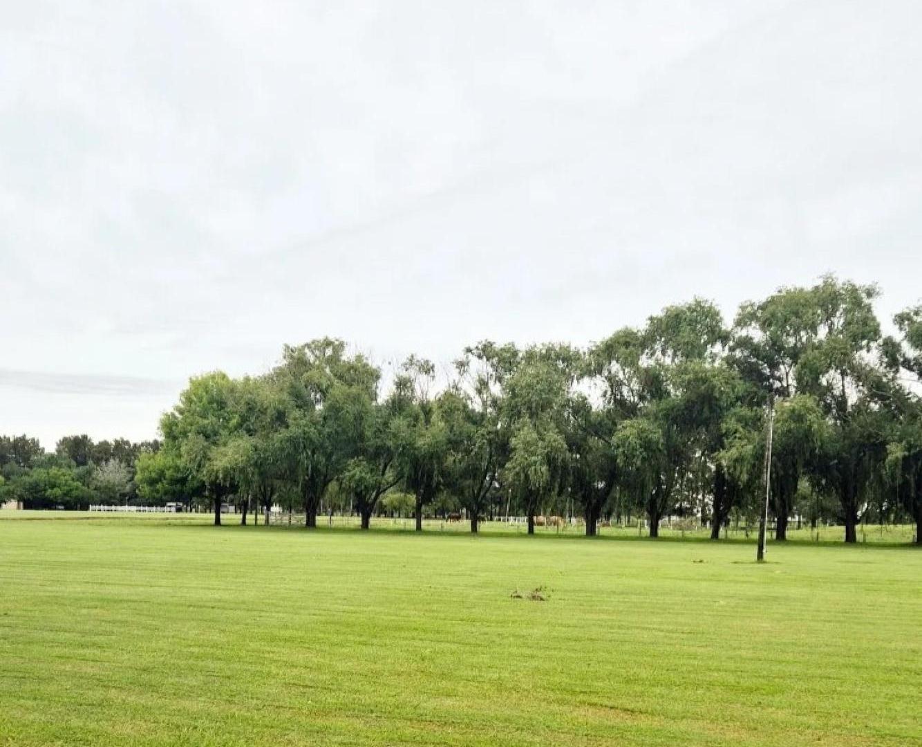 Terreno en venta - 820mts2 - Haras del Sur IV