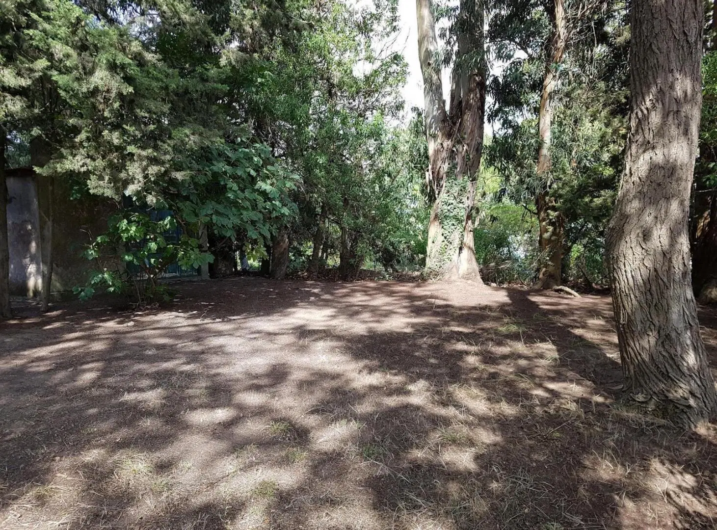 Casa en venta - 3 Dormitorios 2 Baños - 535Mts2 - San Clemente del Tuyú 4