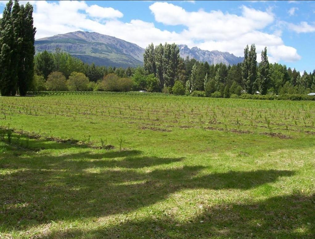 Terreno en venta - 26500Mts2 - El Bolsón