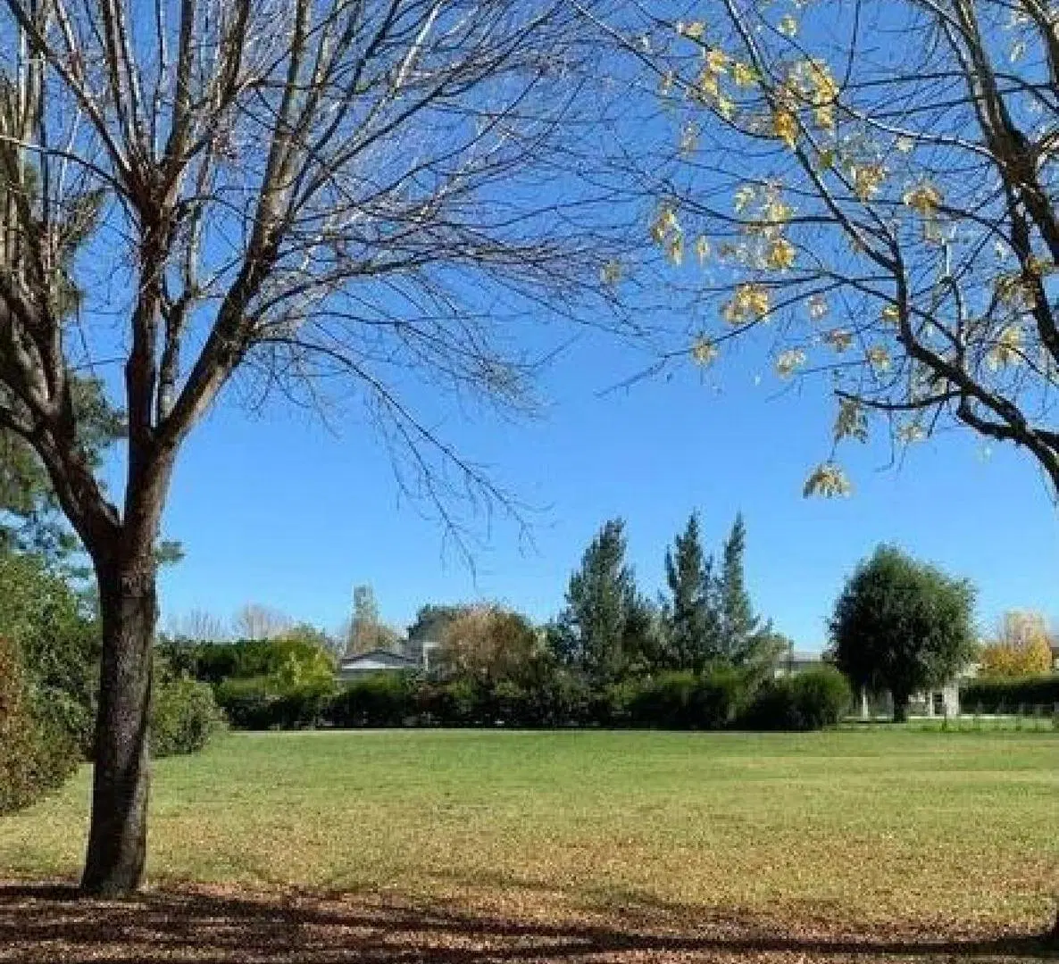 Terreno en venta - 1000mts2 - Haras Del Sur I 5