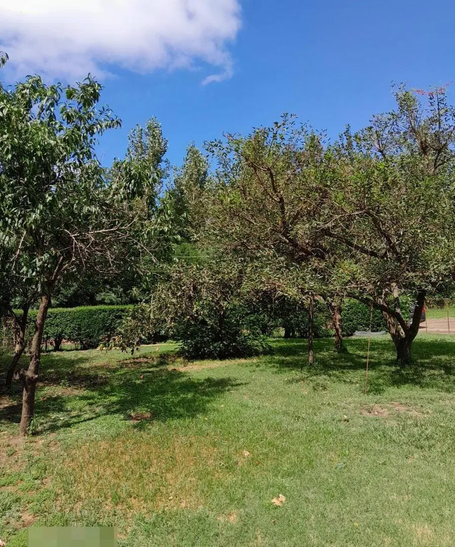 Terreno en venta - 862.5mts2 - Ernestina, 25 De Mayo 3