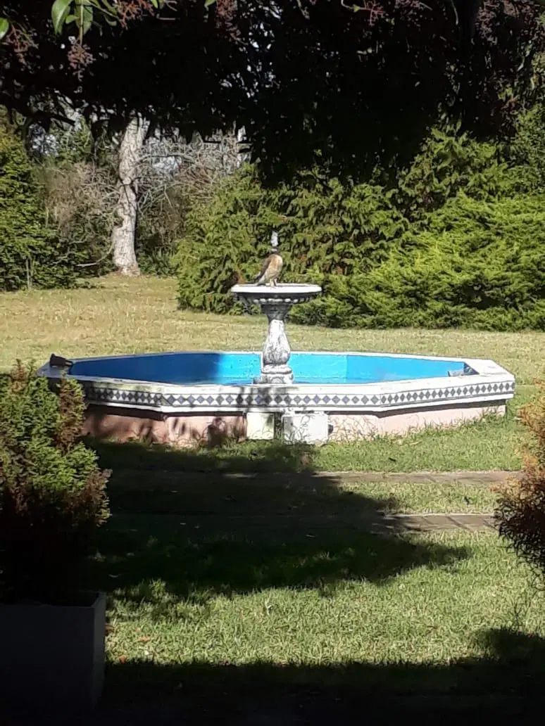 Casa en venta - 3 Dormitorios  5 Baños - Cochera - 6062Mts2 - Magdalena 3