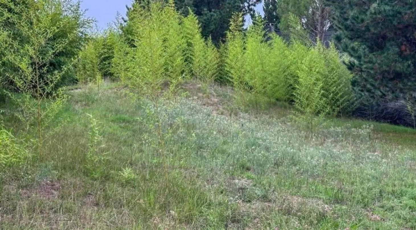 Terreno en venta  - 930 mts2 - Senderos III, Costa Esmeralda 4
