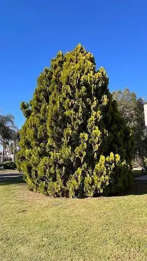 Terreno en venta - 1.000Mts2 - Luján 3