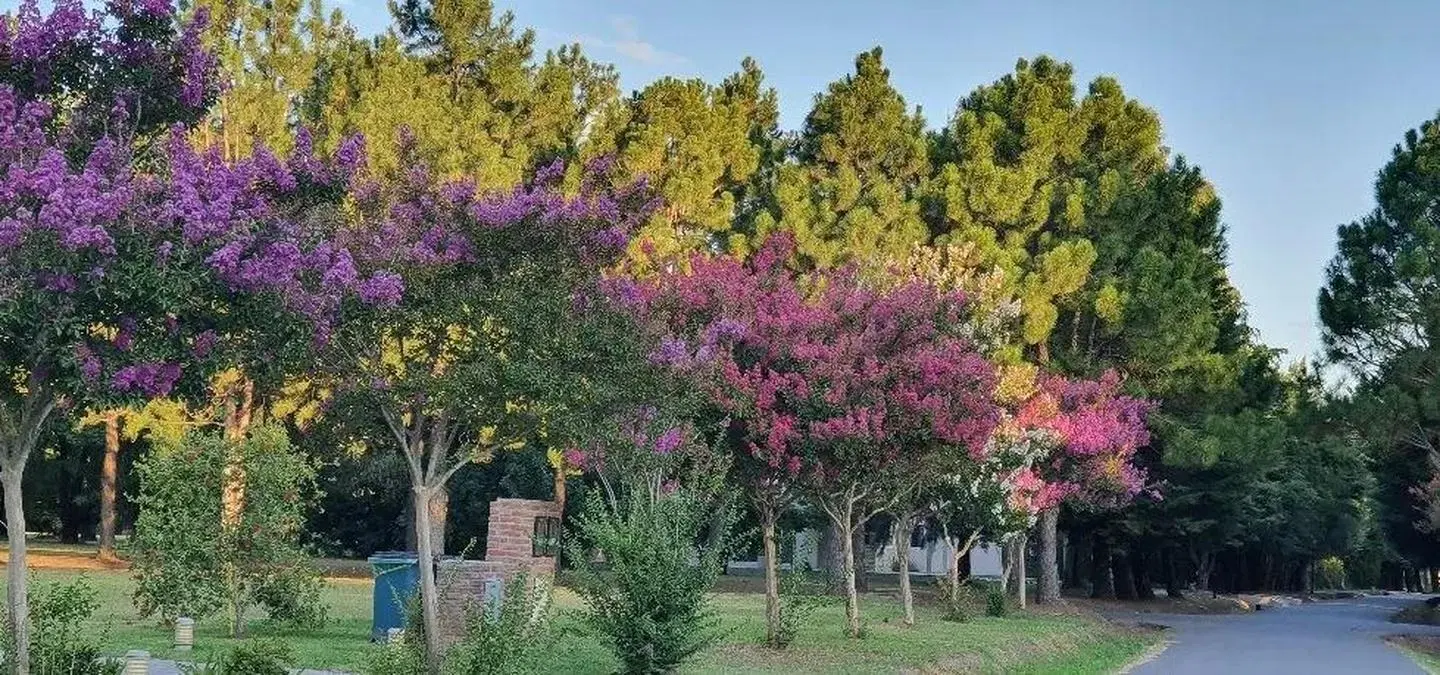 Terreno en venta - 1250mts2 - Club Miralagos II, La Plata 4