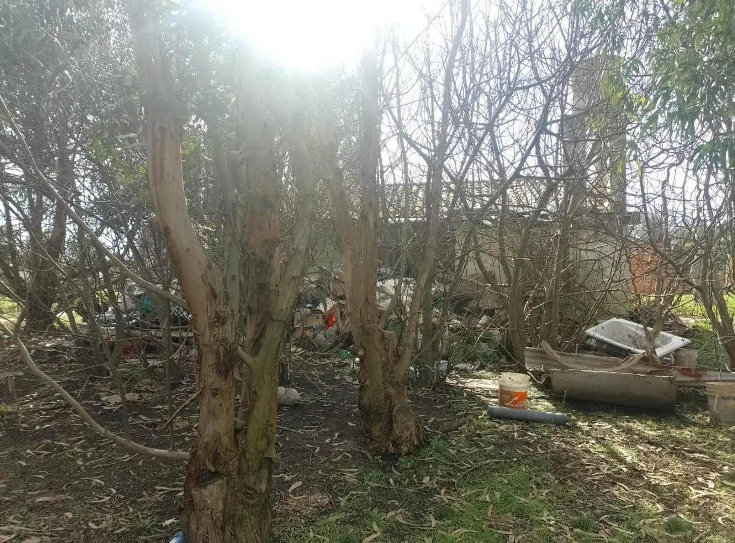 Casa en venta - 1 Dormitorio 1 Baño - 804mts2 - Mar del Plata 2