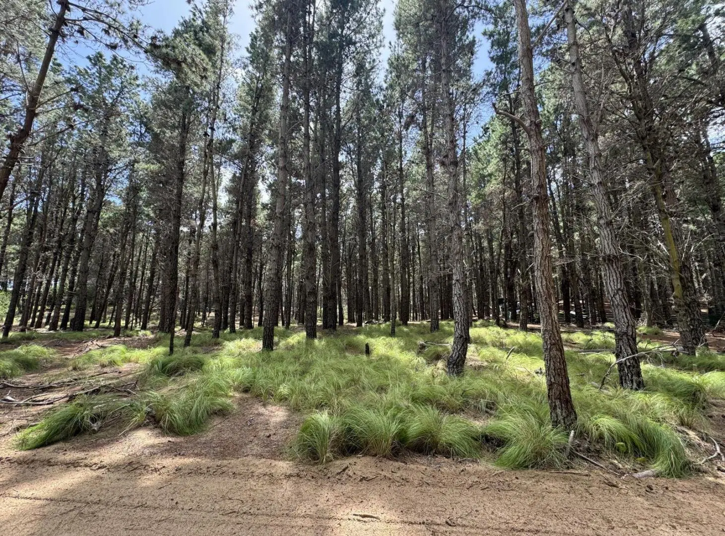 Terreno en venta - 865mts2 - Villa Robles, Pinamar 2