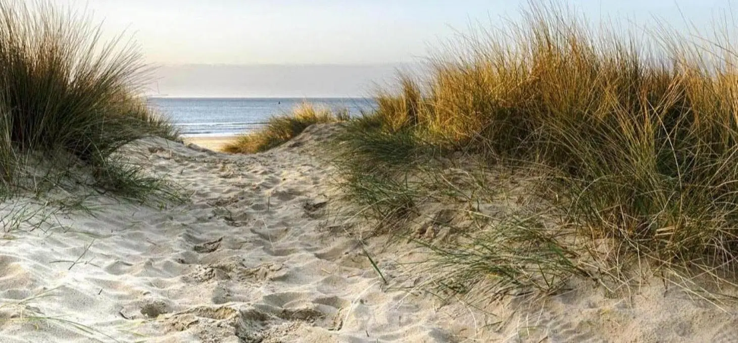 Terreno en venta - 865mts2 - Villa Robles, Pinamar 4