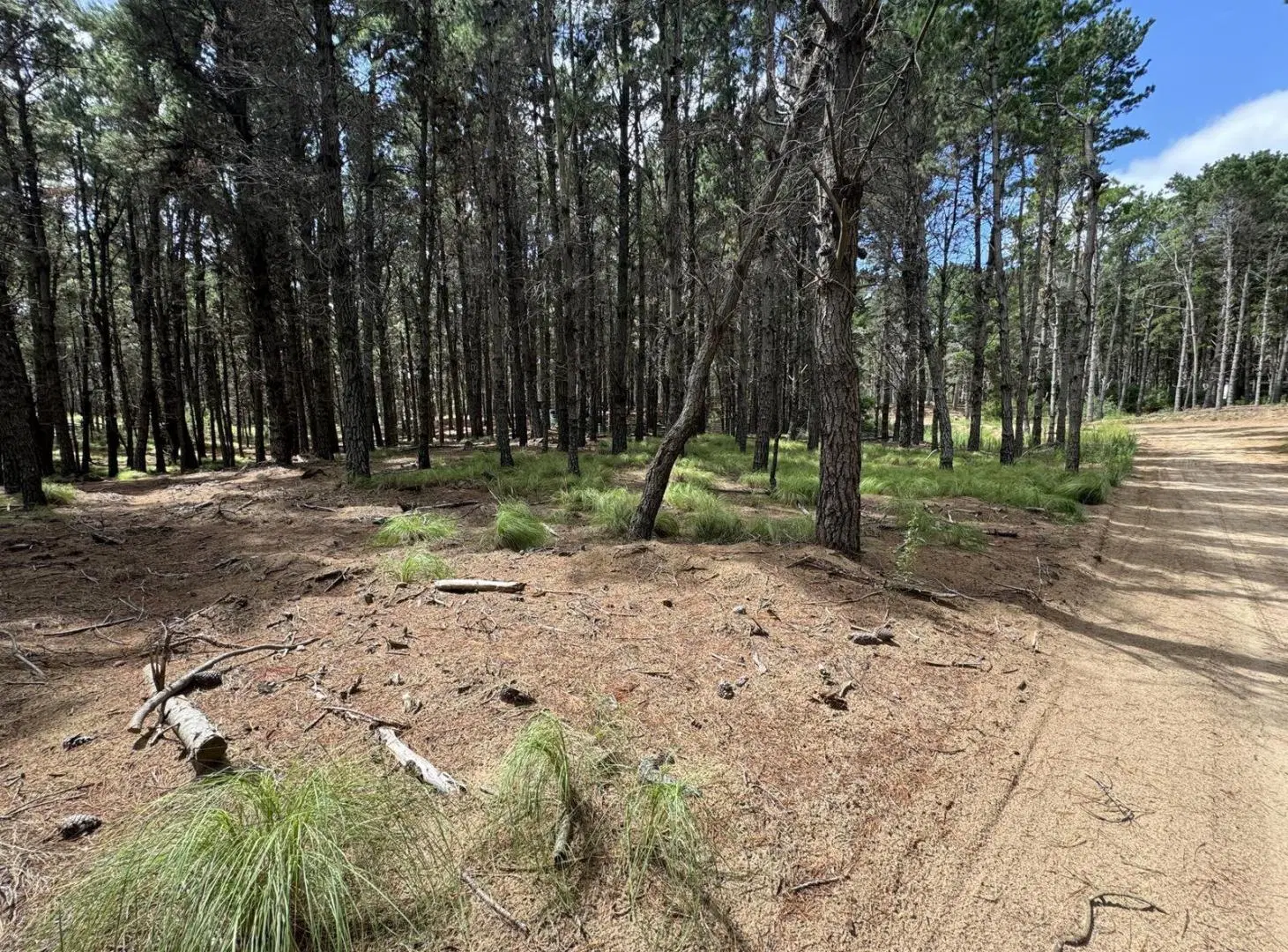 Terreno en venta - 865mts2 - Villa Robles, Pinamar 3