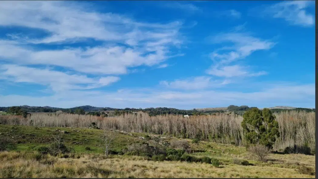 Terreno en venta - 600Mts2 - Tandil 5