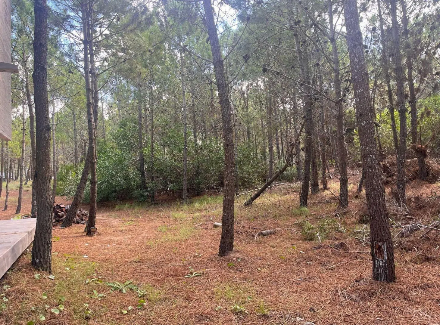 Terreno en venta - 1.089mts2 - Marítimo IV - Costa Esmeralda 2