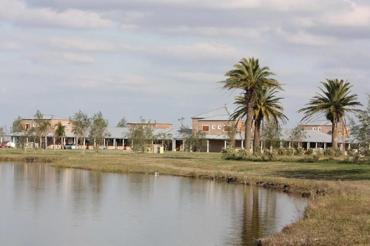 Terreno en venta - 3800Mts2 - Cañuelas 1