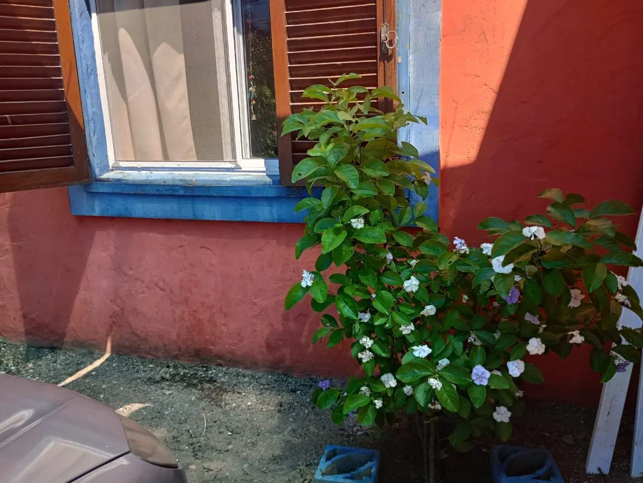 Casa en Venta - 1 Dormitorio 1 Baño - 600mts2 - Las Toninas 2