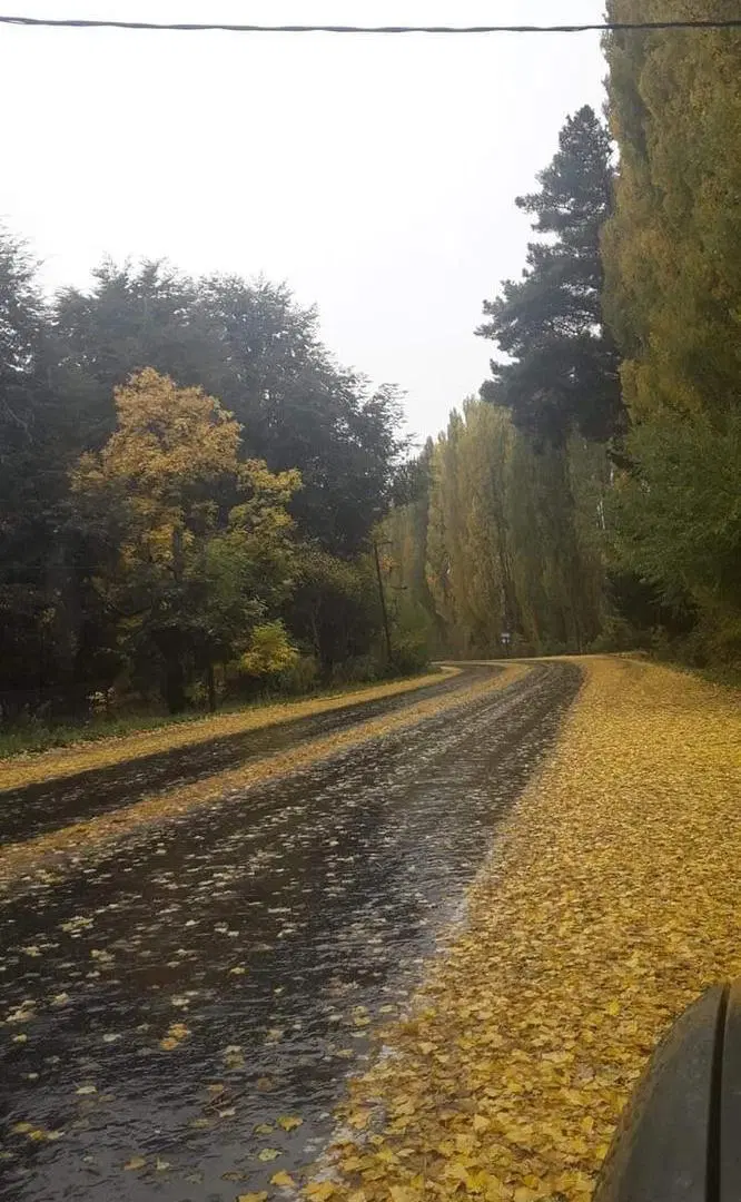 Terreno en venta - 2000Mts2 - Lago Puelo, Chubut 4