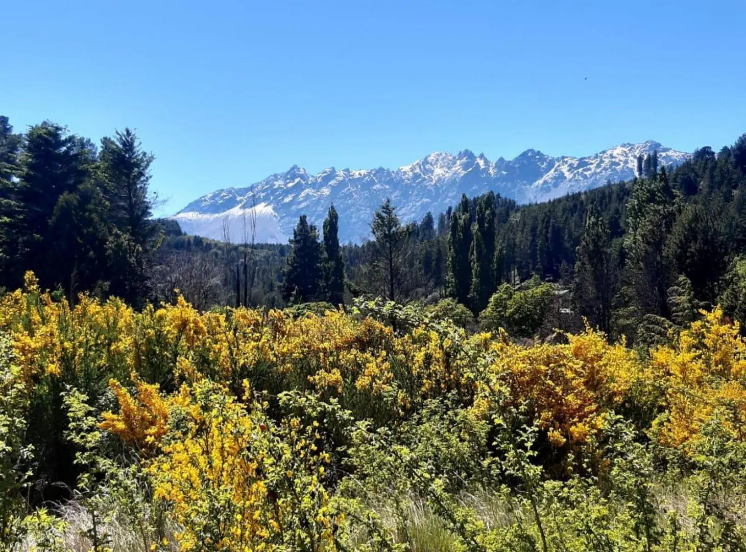 Terreno en venta - 2000Mts2 - Lago Puelo, Chubut 3