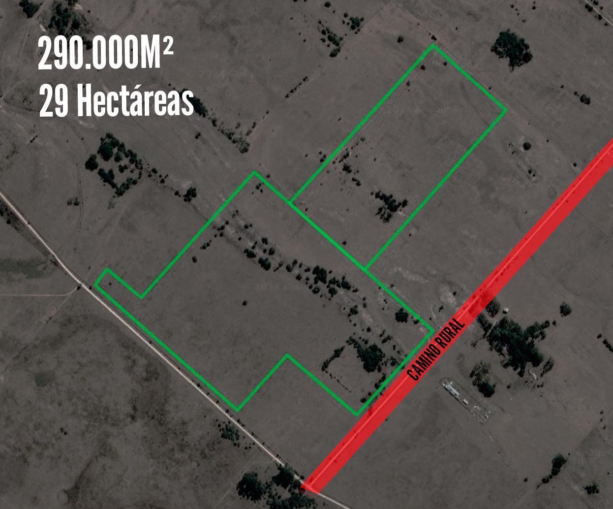 Campo en venta - 290.000Mts2 - 29 Hectáreas - Magdalena, Atalaya
