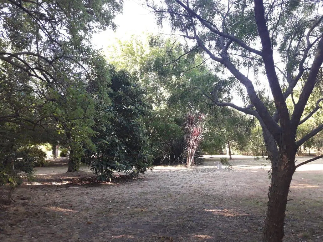Terreno en venta - 20 x 56mts - 1123mts2 - El Rodeo, Abasto, La Plata 5