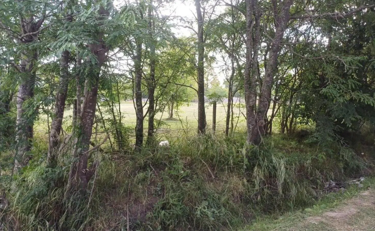 Terreno en venta - 550Mts2 - Cañuelas 1