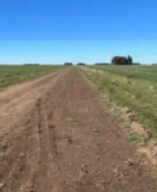 Campo en venta - 1.003 Hectáreas - Tres Arroyos 2