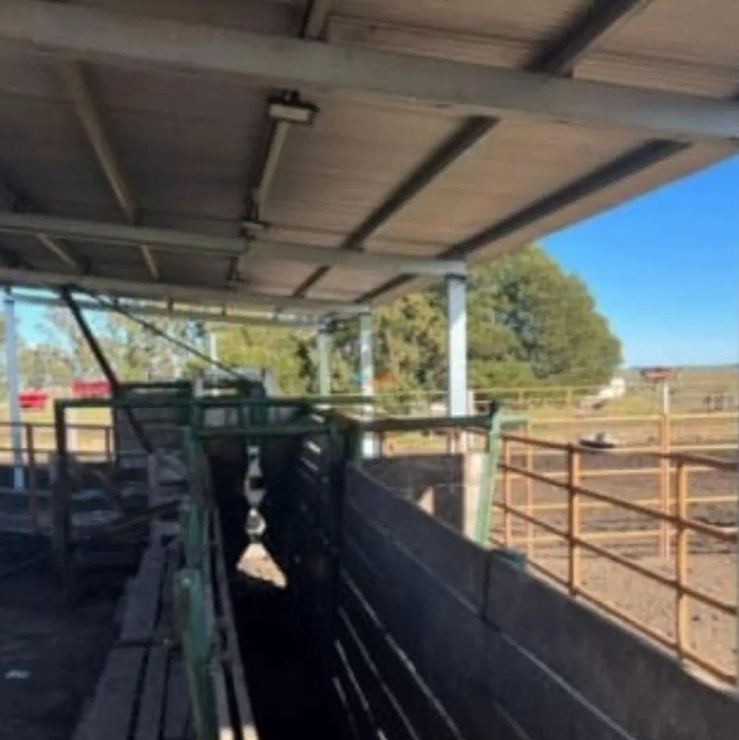 Campo en venta - 1.003 Hectáreas - Tres Arroyos 3