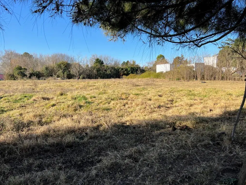 Terrenos en venta - 6.146Mts2 - Saladillo 3