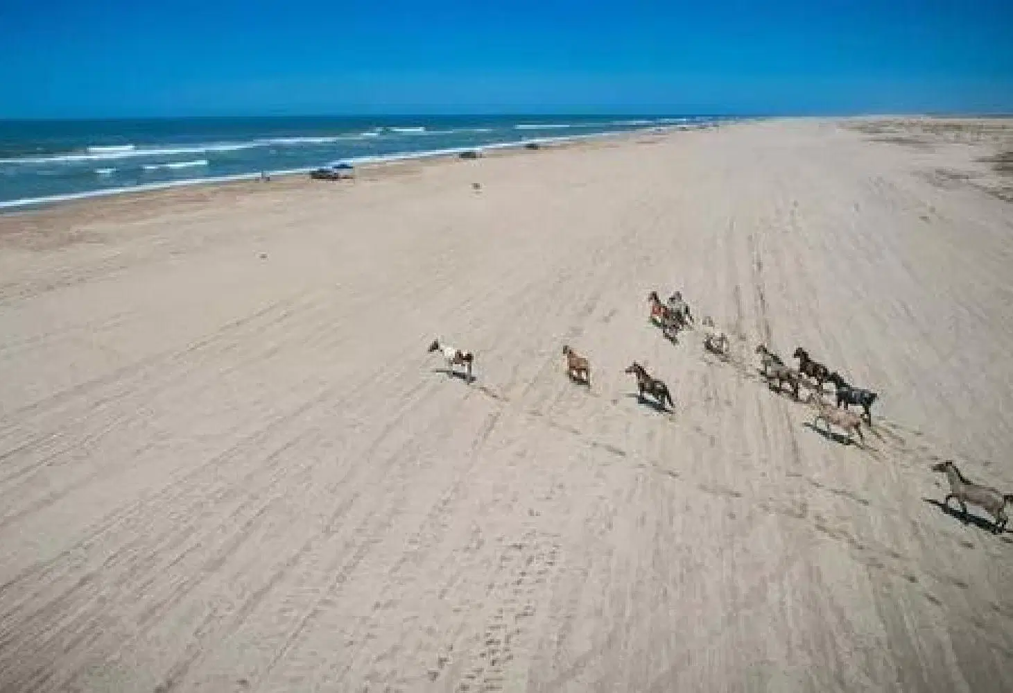 Terreno en venta - 2.600mts2 - El Salvaje, Mar De Las Pampas 3