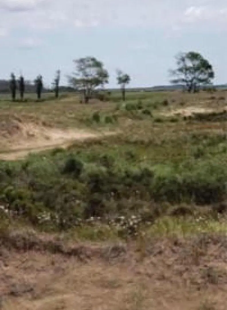 Terreno en venta - 2.600mts2 - El Salvaje, Mar De Las Pampas 4