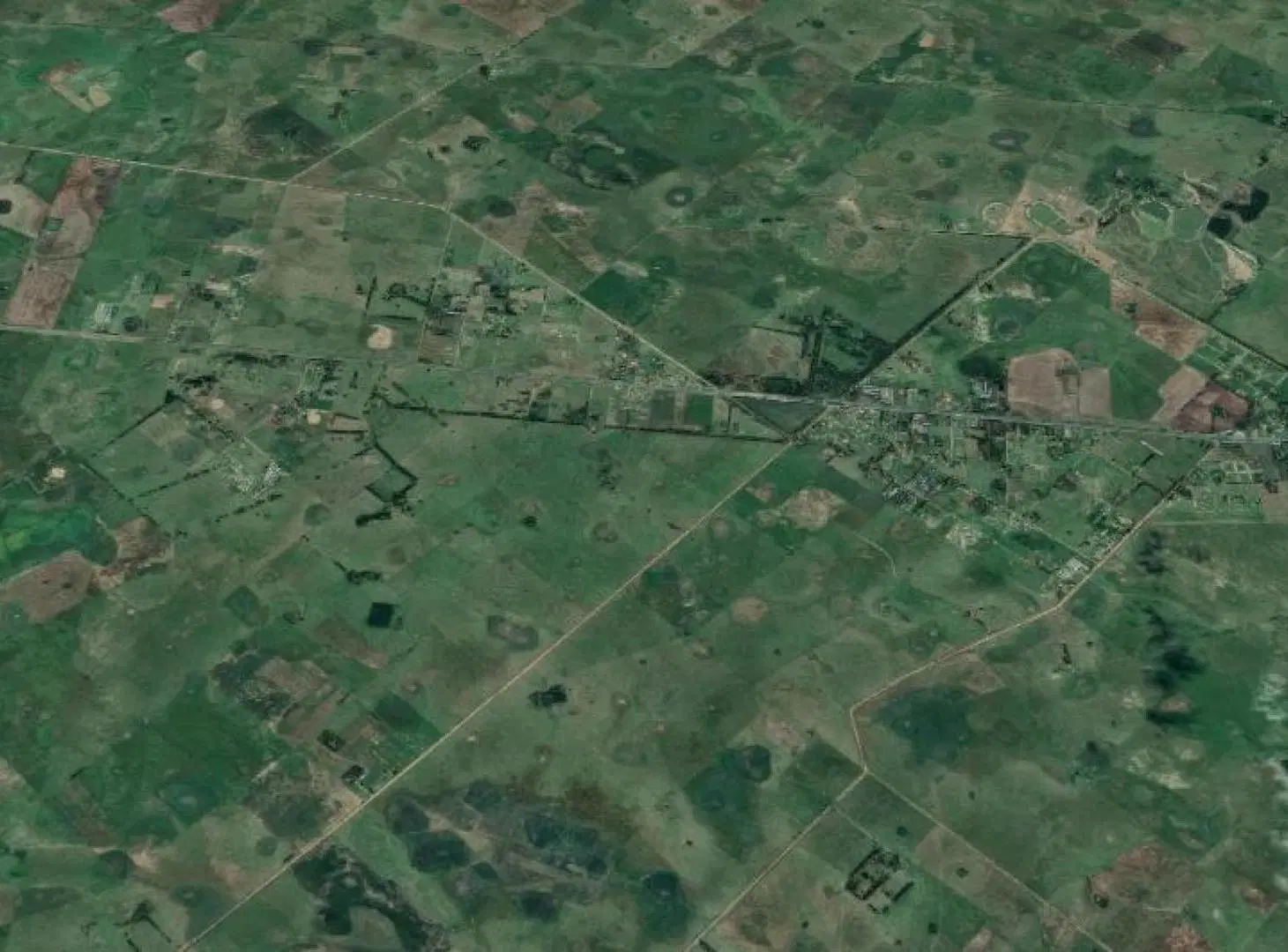Campo en venta - Casa - 248Ha - Cañuelas 4