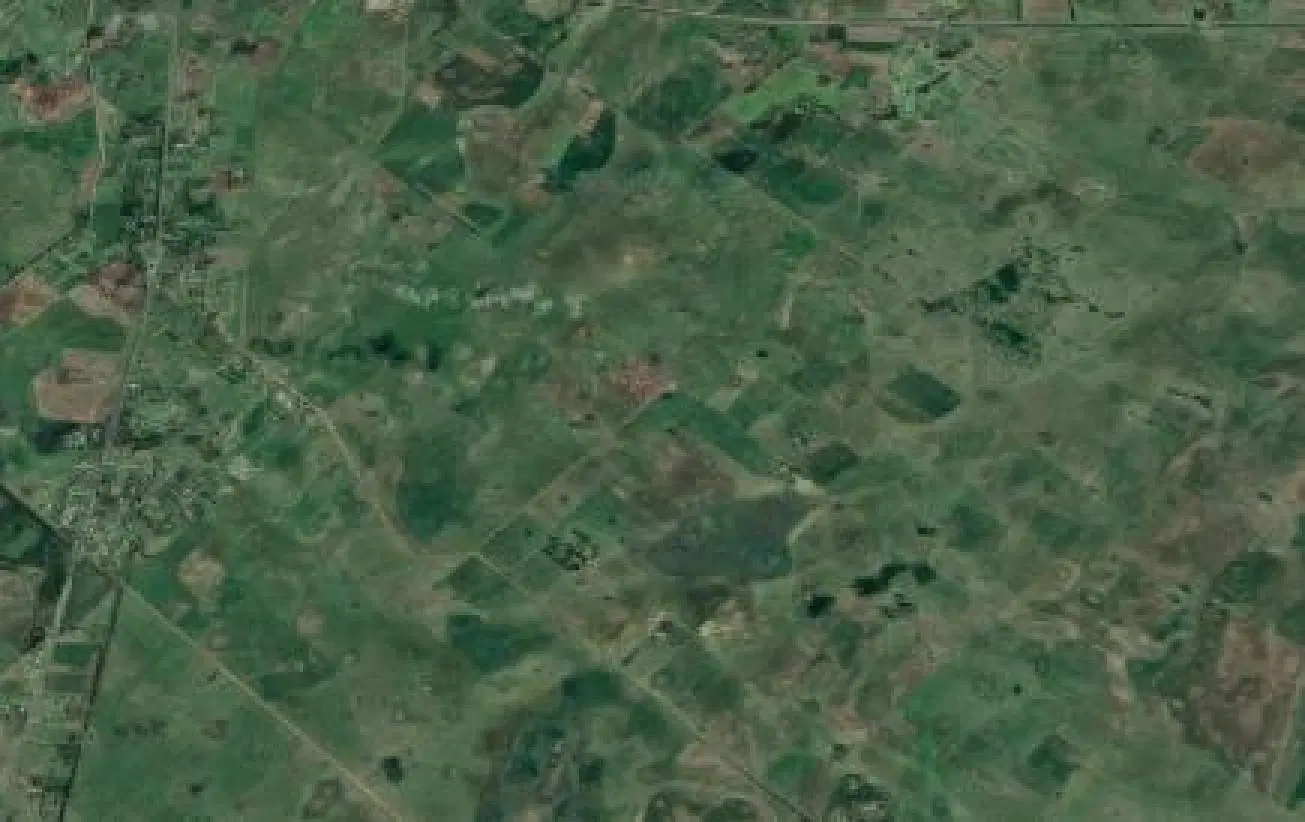 Campo en venta - Casa - 248Ha - Cañuelas 3