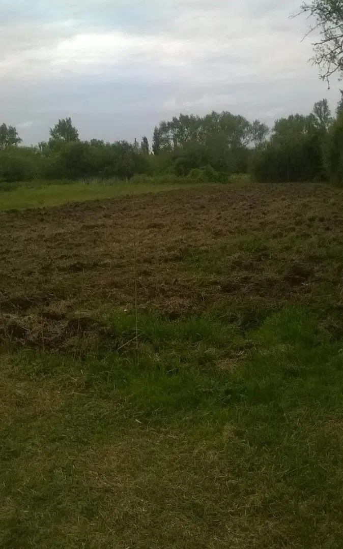 Terreno en venta - 9.765Mts2 - Berisso 2