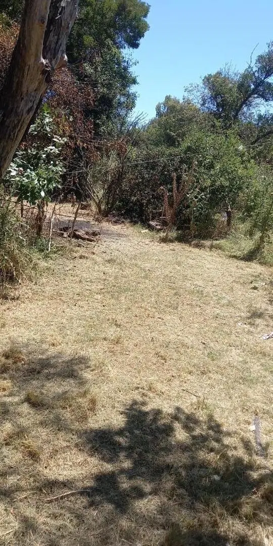 Terreno en venta - 9.765Mts2 - Berisso 4