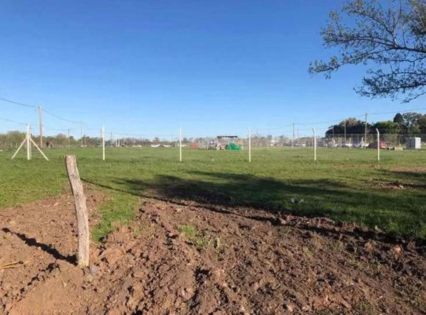Terreno en venta - 250Mts2 - Los Fresnos, Arturo Seguí 4
