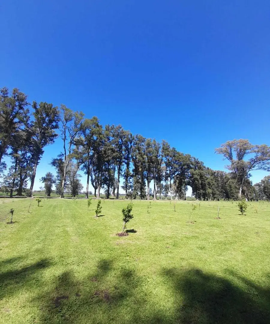 Terreno en venta - 1280mts2 - Los Tres Pinos, General Rodríguez 5