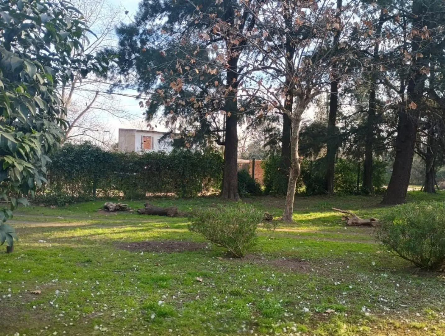 Terreno en venta - 390Mts2 - Paso del Rey 2