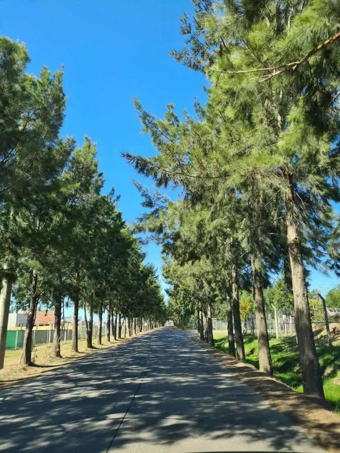 Terreno en venta - 630 mts2 - San Simon 5